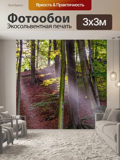 Фотообои Туман