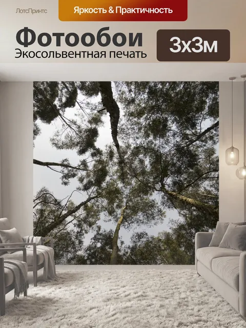 Фотообои Эвкалипт