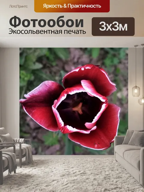 Фотообои Цветок