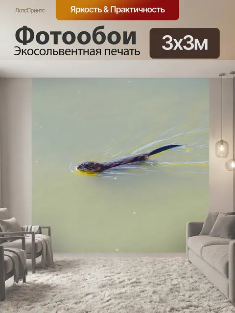 Фотообои Воды