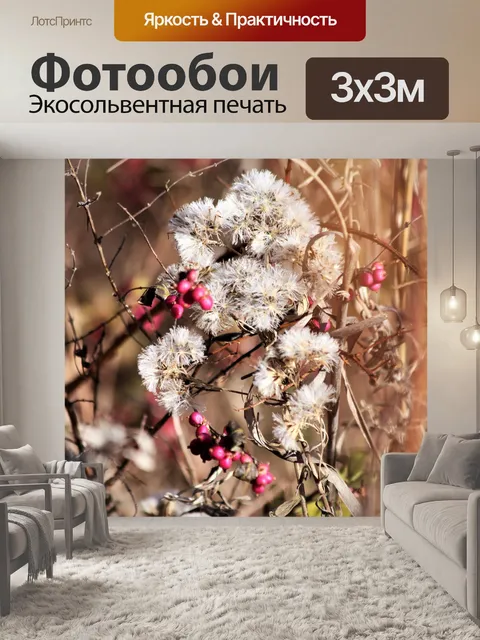 Фотообои Полевые цветы и ягоды зимой