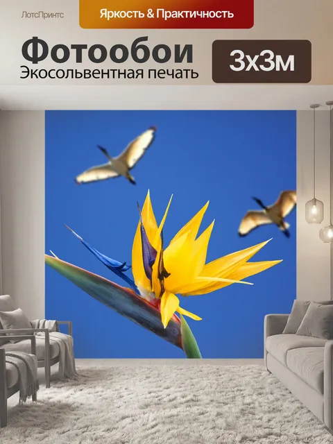 Фотообои Хвостатые