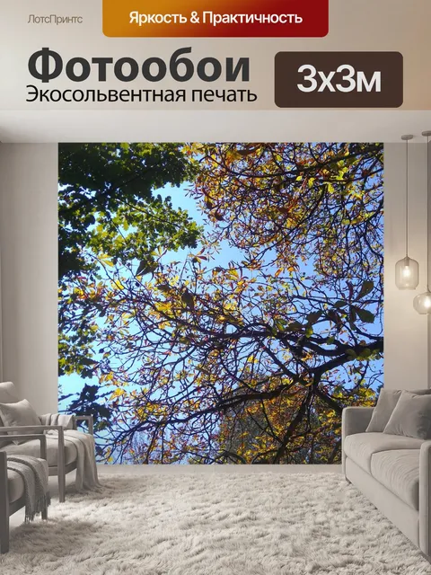 Фотообои Солнце
