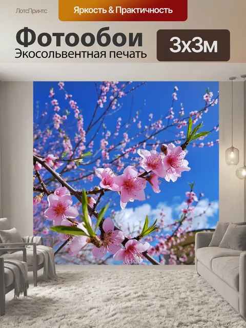 Фотообои Мира цветы