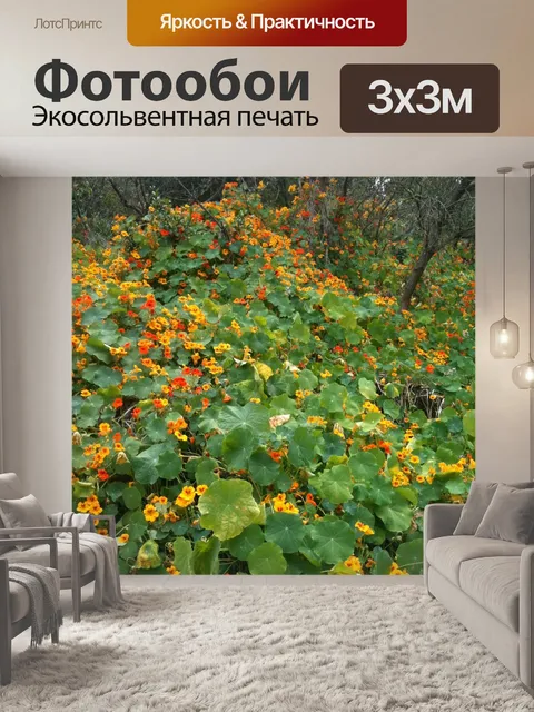 Фотообои Маки