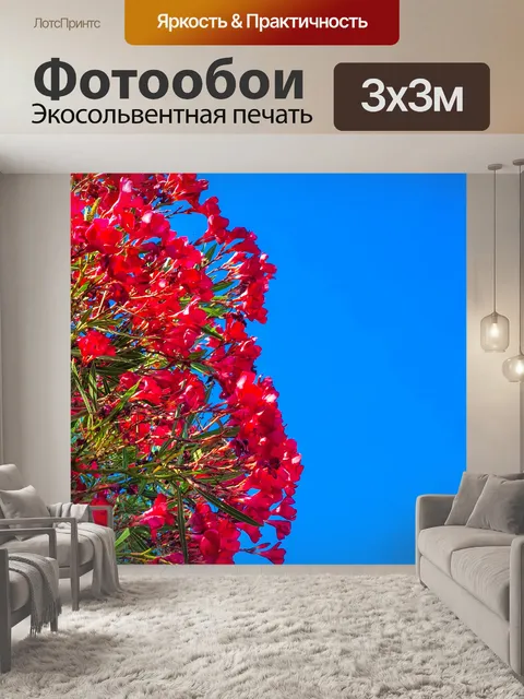 Фотообои Цветы олеандра