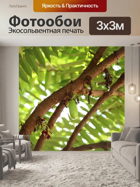 Фотообои Фрукты