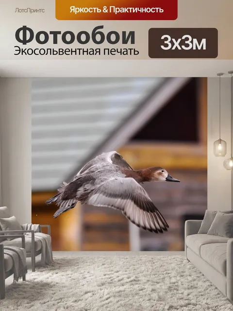 Фотообои Животное