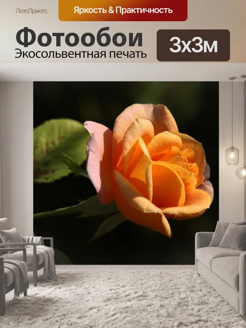 Фотообои Розовая золотая медаль