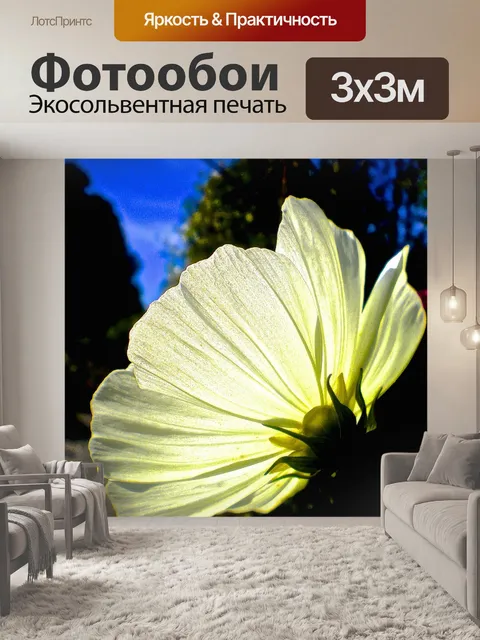 Фотообои Белый цветок