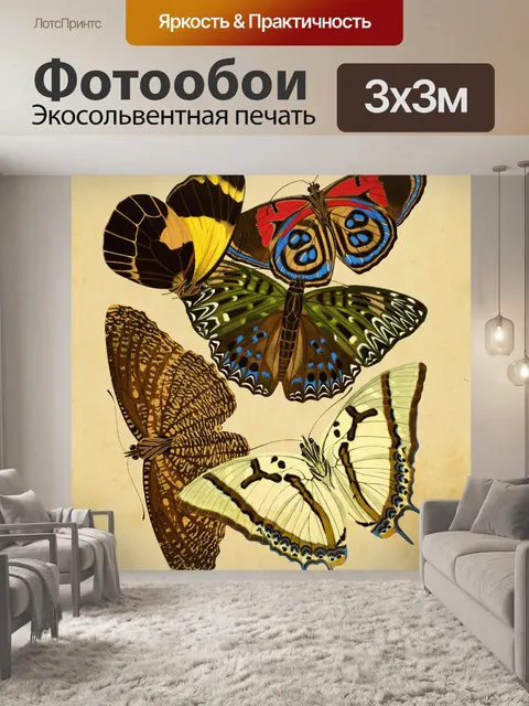 Фотообои Бабочки Винтаж