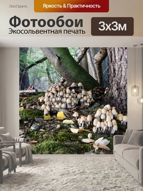 Фотообои Лес