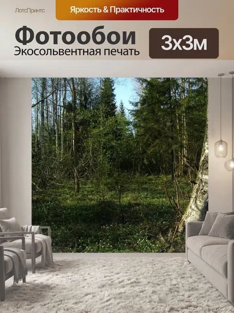 Фотообои Лес