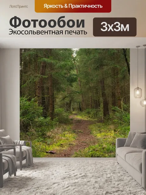 Фотообои Лес