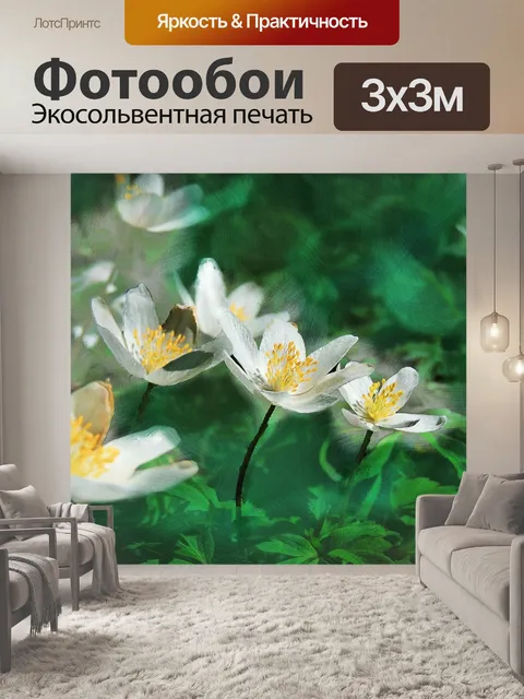 Фотообои Цветы