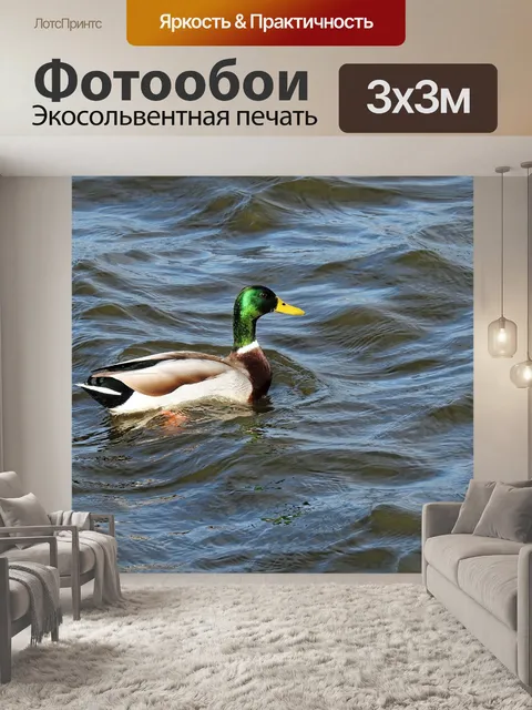 Фотообои Озеро