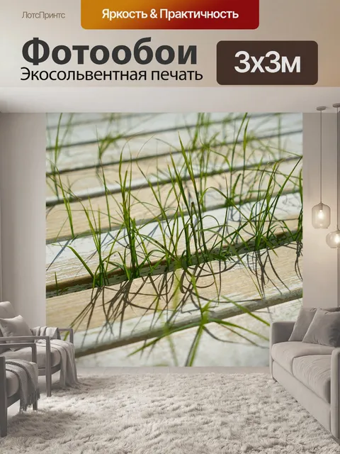 Фотообои Трава