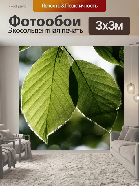 Фотообои Листья