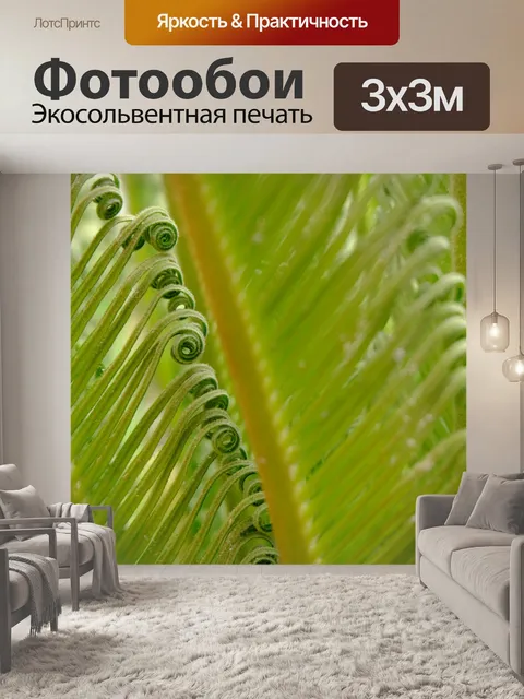 Фотообои Листья