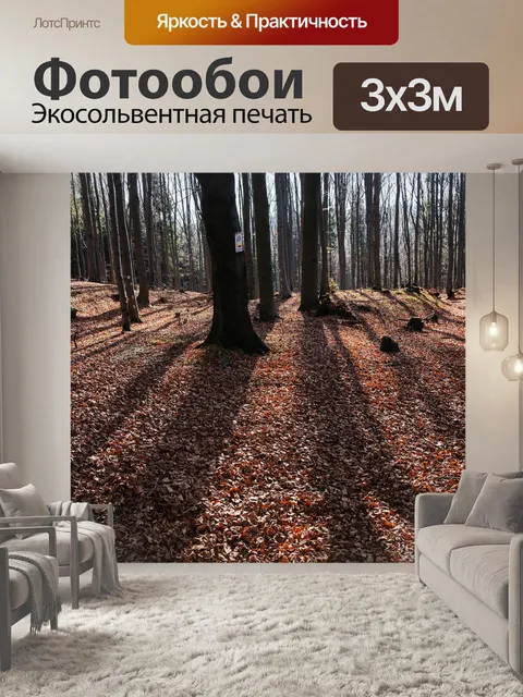 Фотообои Деревья