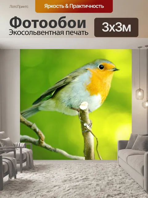 Фотообои Птица