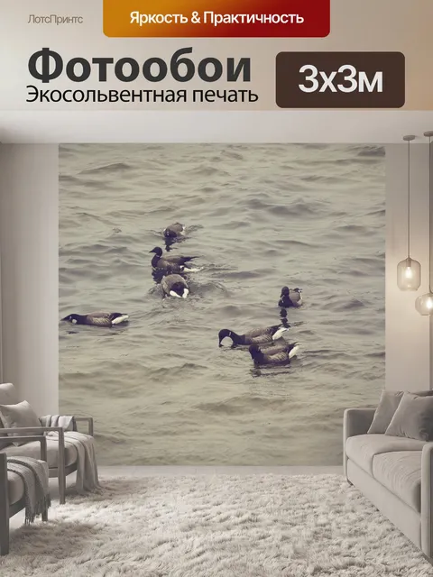 Фотообои Три диких гуся