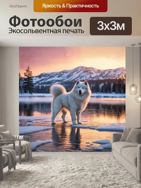 Фотообои величественный самоед