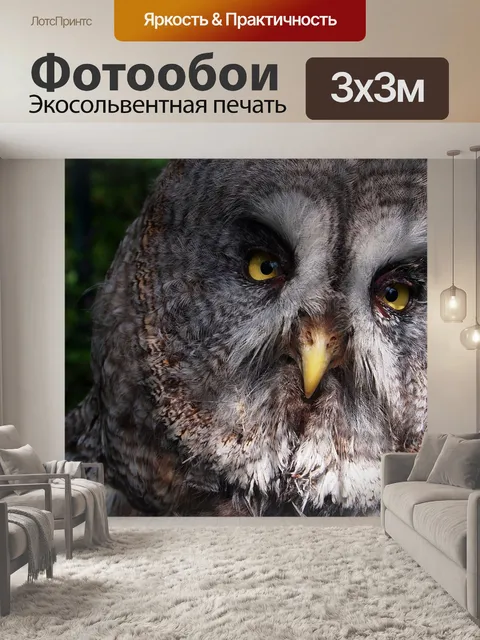 Фотообои Сова