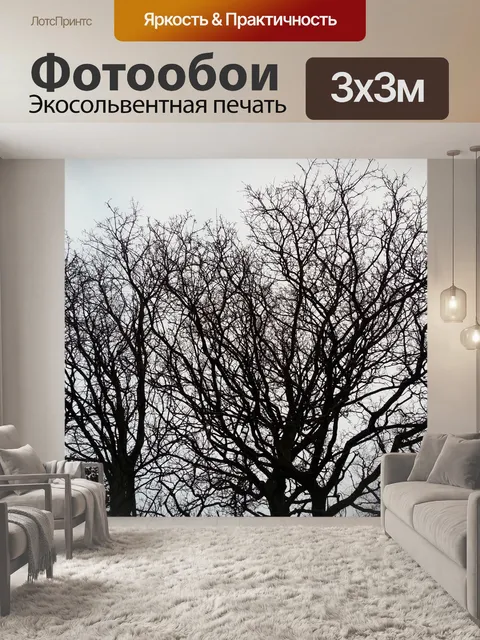 Фотообои Деревья намечены