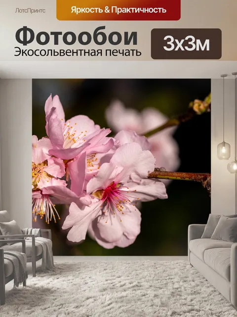 Фотообои Цветы
