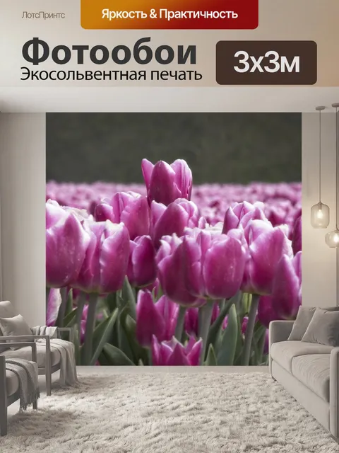 Фотообои Тюльпан