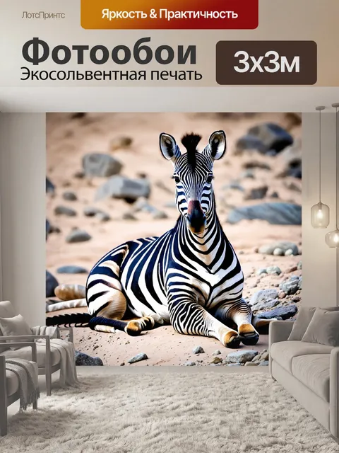 Фотообои изображение зебры, сидящей на каменистой грунте, где её полосы перетекают в текстуры окружающих камней