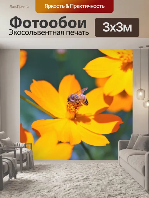 Фотообои Желтый кореопсис и медовая пчела