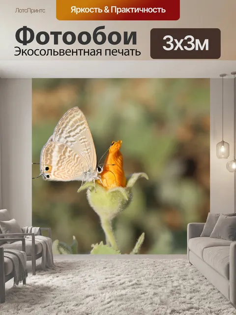 Фотообои Природа