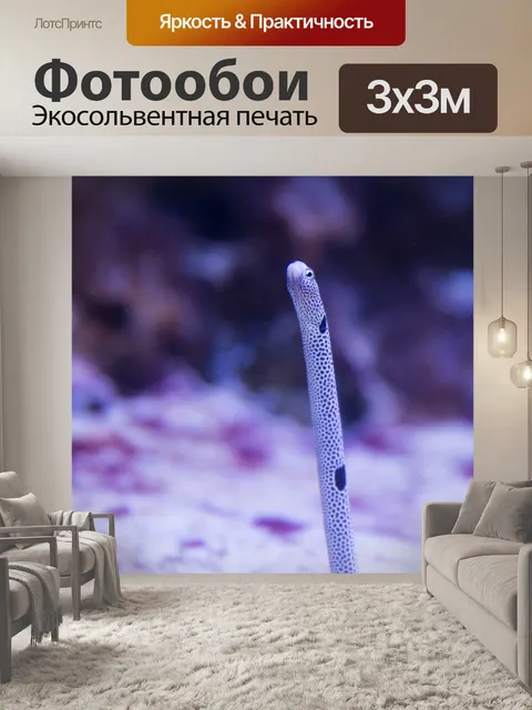 Фотообои Пятнистый садовый угорь