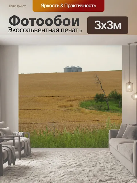 Фотообои Золотые поля пшеницы Металлические Зерно