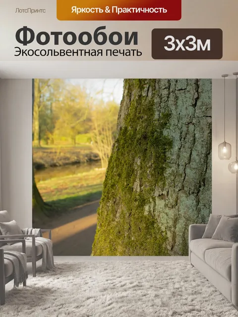 Фотообои Дерево