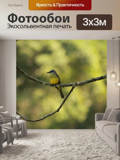 Фотообои Птицы