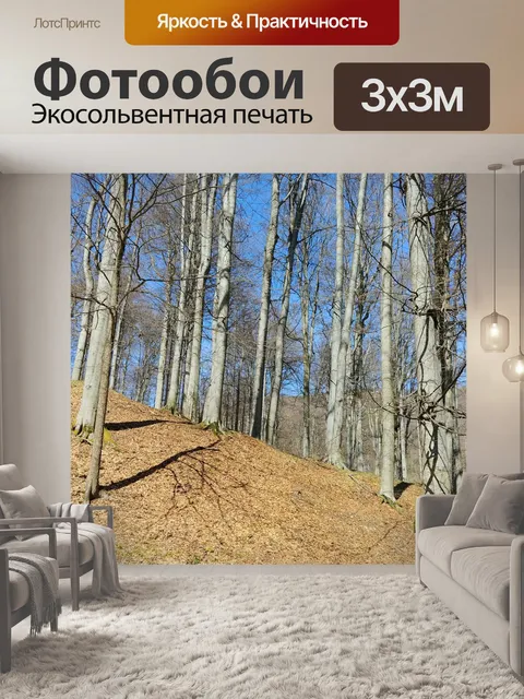 Фотообои Деревья