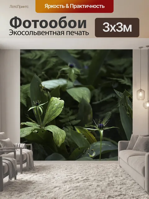 Фотообои Париж трава