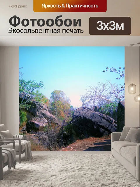 Фотообои Рок лес