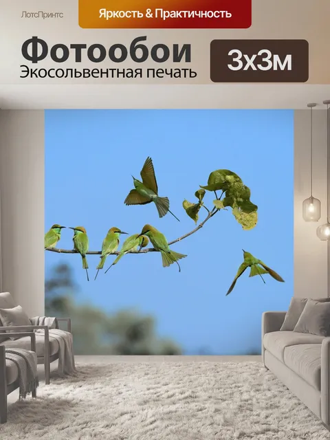 Фотообои Попугаи