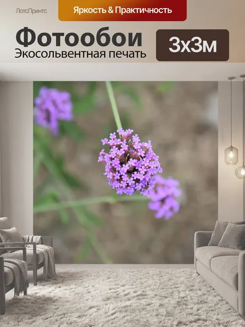 Фотообои Лаванда