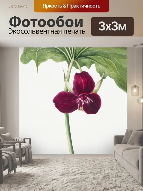 Фотообои Винтажное цветочное искусство акварель