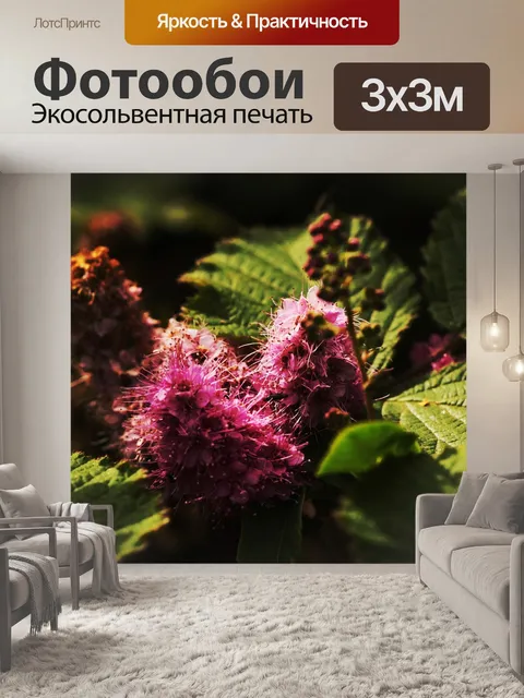 Фотообои Цветок