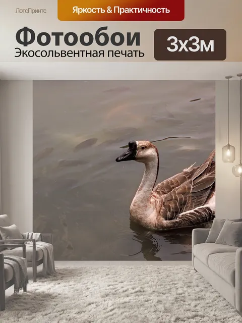Фотообои Вод