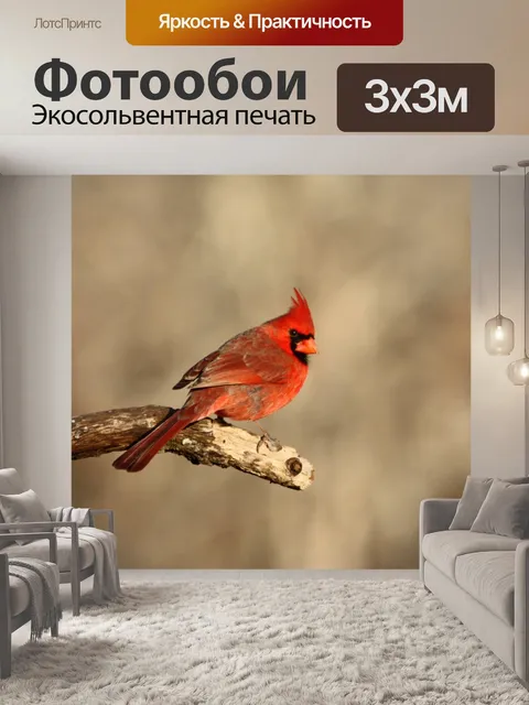 Фотообои Осенний кардинал
