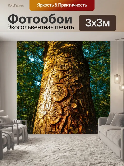 Фотообои дерево с резными узорами на коре, освещенное солнечными лучами, пробивающимися сквозь листву, в тени леса