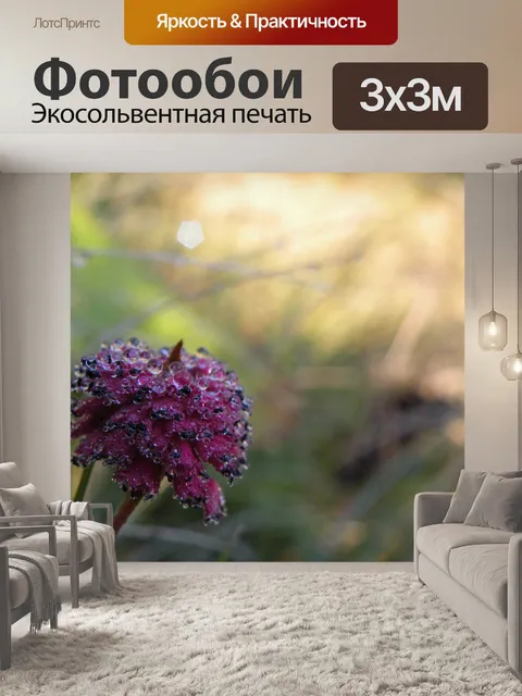 Фотообои Розовый