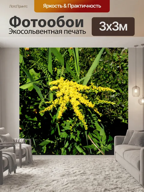 Фотообои Золотисто-2014 (2)
